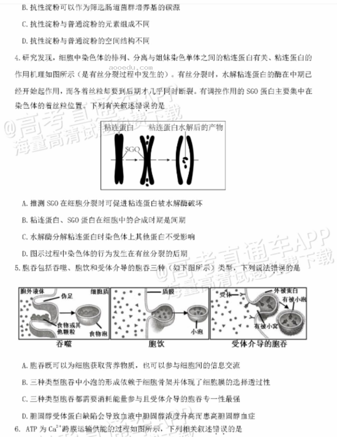 广东惠州2024高三10月第二次调研考生物试题及答案解析