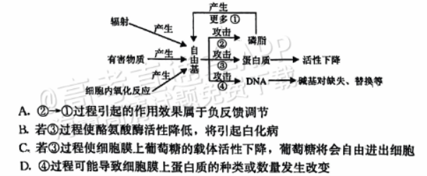 河北保定部分高中2024高三10月摸底考生物试题及答案解析