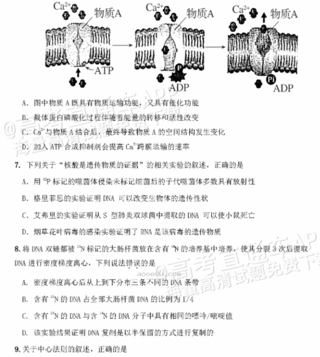 广东惠州2024高三10月第二次调研考生物试题及答案解析