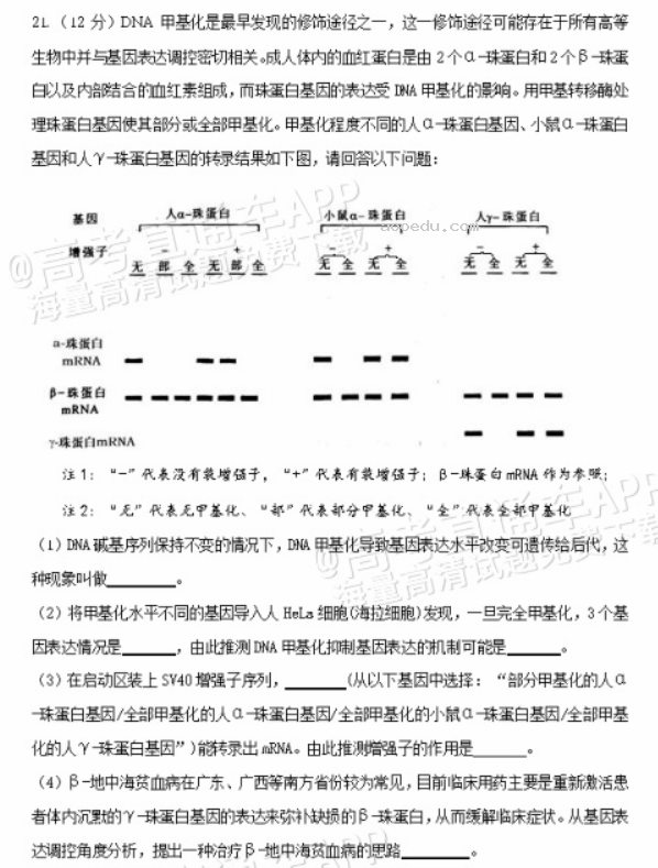 广东惠州2024高三10月第二次调研考生物试题及答案解析