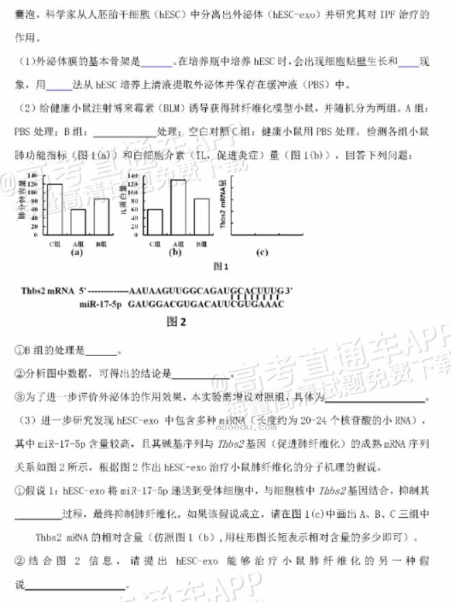 广东惠州2024高三10月第二次调研考生物试题及答案解析