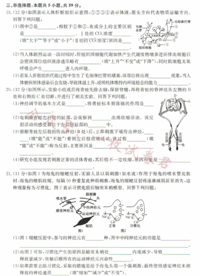 河北沧州远东七县2024高二期中联考生物试题及答案解析