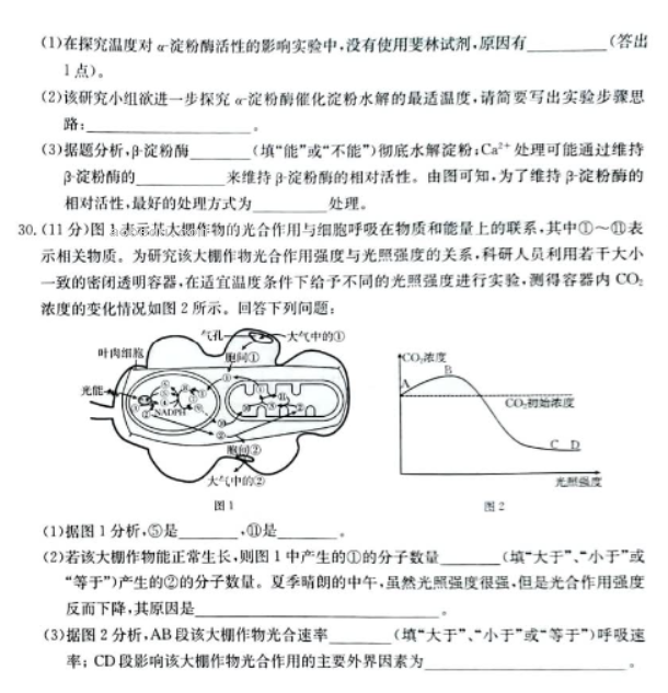 新疆兵团地州学校2024高三期中联考生物试题及答案解析