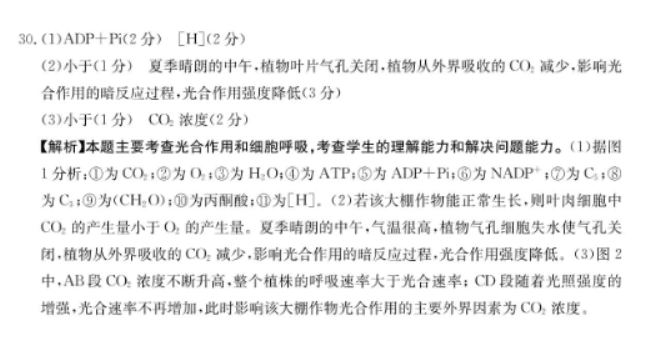 新疆兵团地州学校2024高三期中联考生物试题及答案解析