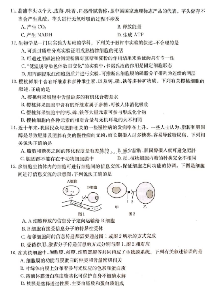 新疆兵团地州学校2024高三期中联考生物试题及答案解析