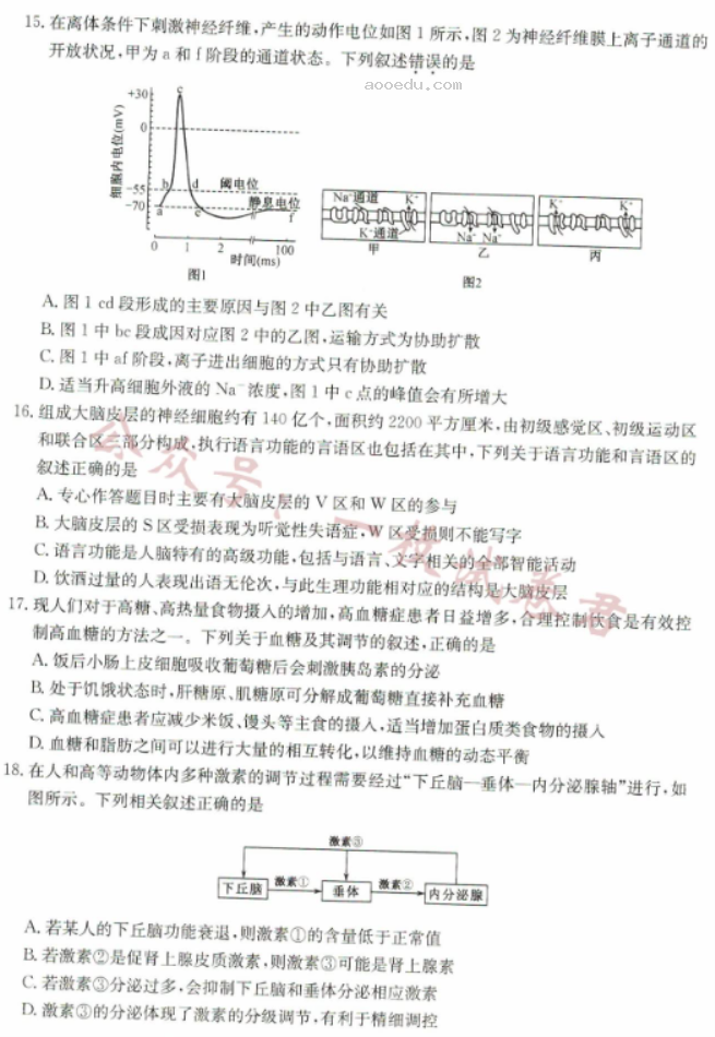 河北沧州远东七县2024高二期中联考生物试题及答案解析