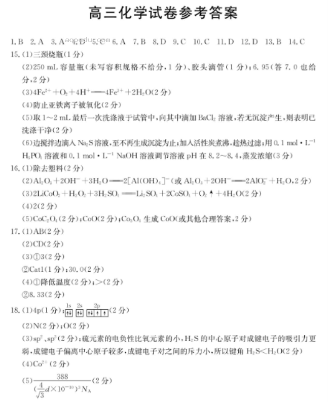 新疆兵团地州学校2024高三期中联考化学试题及答案解析