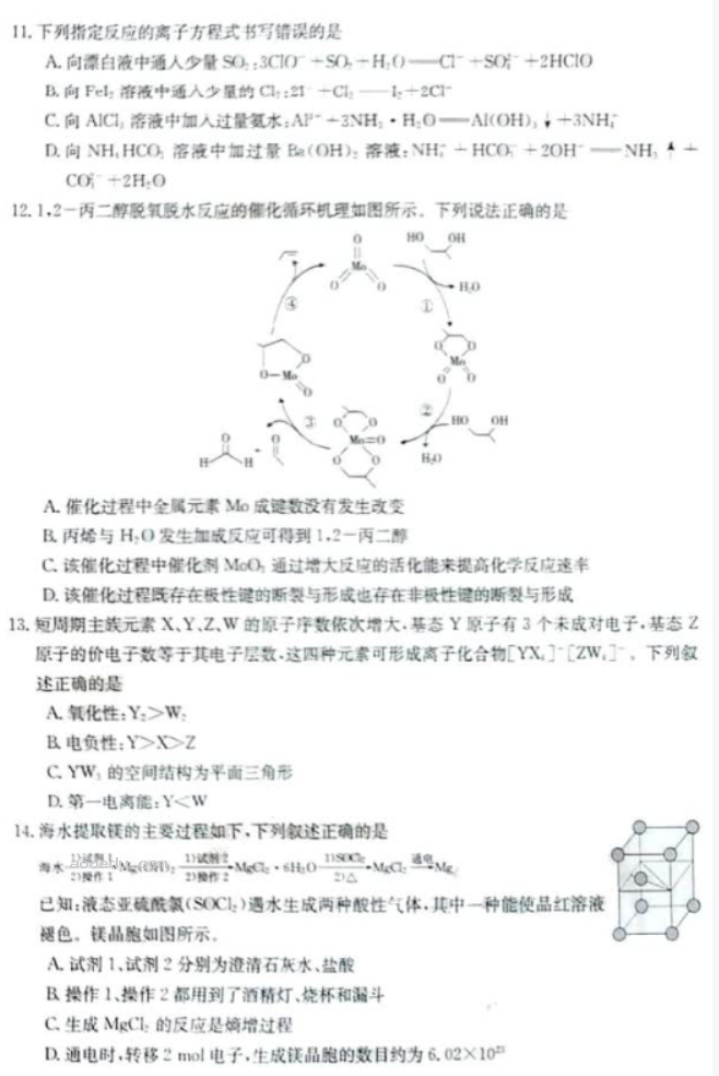 新疆兵团地州学校2024高三期中联考化学试题及答案解析