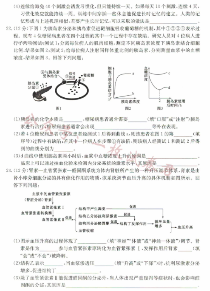 河北沧州远东七县2024高二期中联考生物试题及答案解析