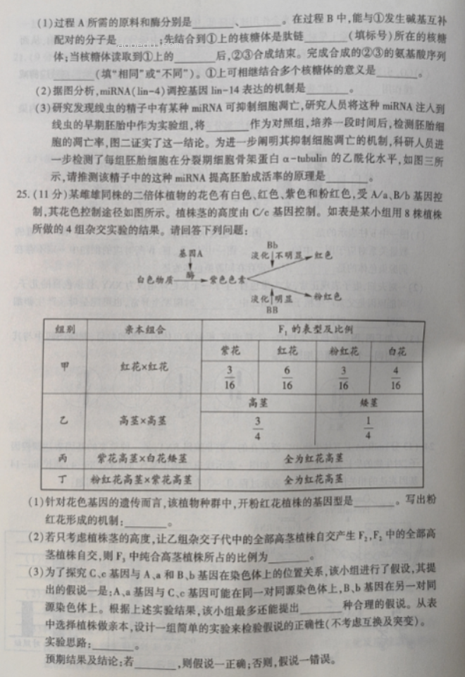 辽宁沈阳联合体2024高三期中检测考试生物试题及答案解析