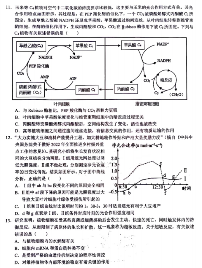 湖北鄂东南联盟学校2024高三期中联考生物试题及答案解析