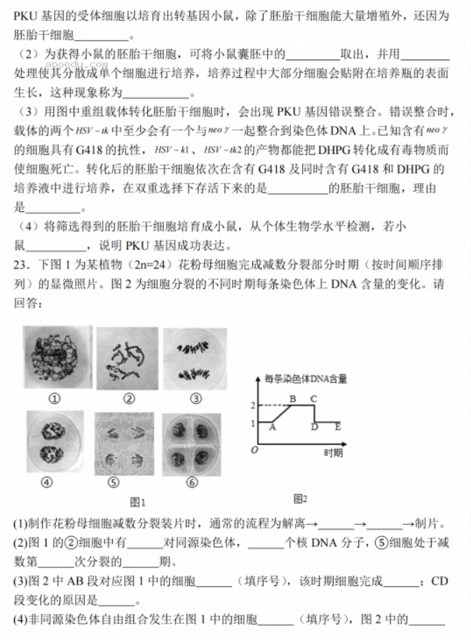 江苏南通2024高三上学期期中考前模拟生物试题及答案解析