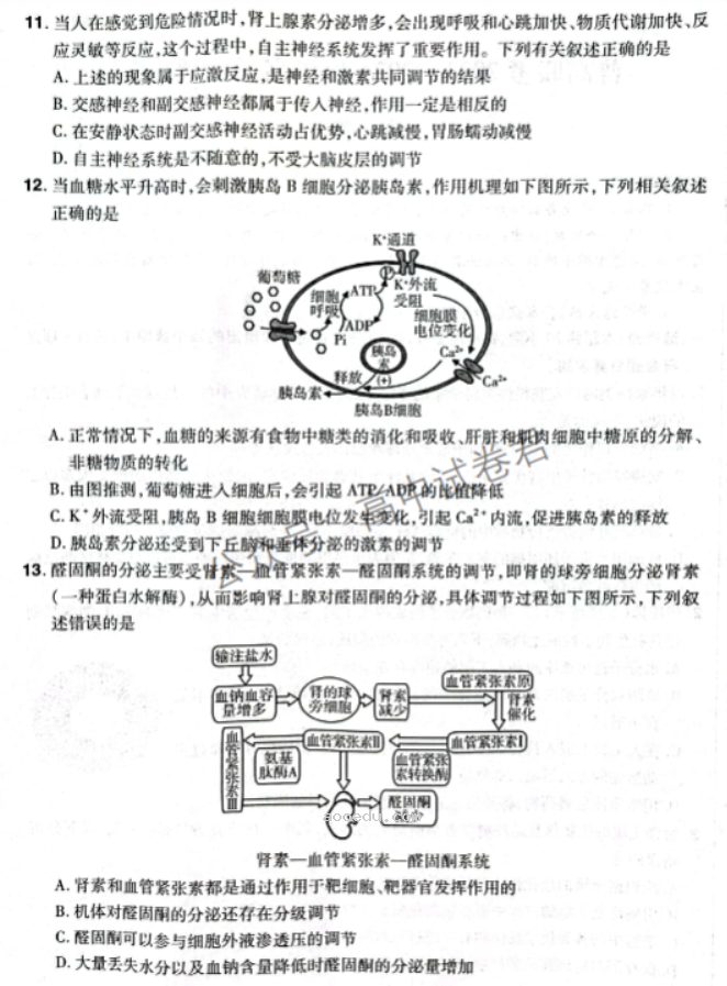 河南普高联考2024高三上学期测评(三)生物试题及答案解析