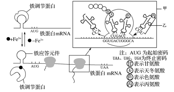 江苏南京六校联合体2024高三10月联合调研生物试题及答案