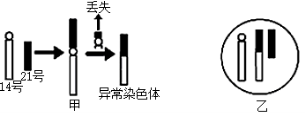 江苏南京六校联合体2024高三10月联合调研生物试题及答案