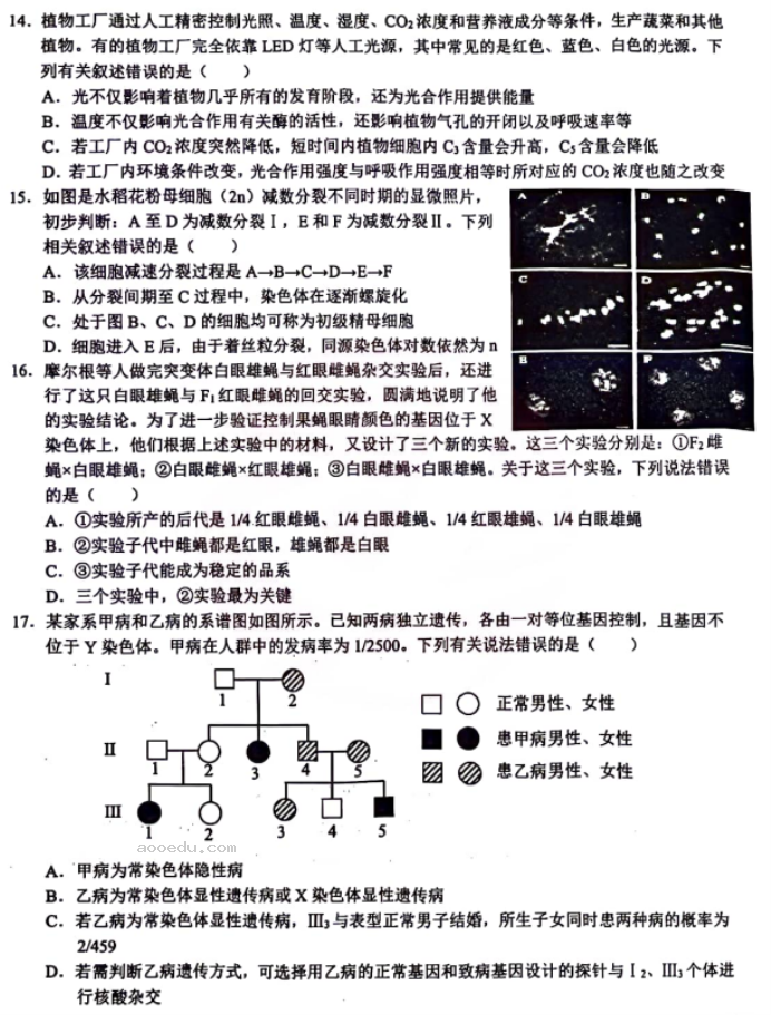 湖北鄂东南联盟学校2024高三期中联考生物试题及答案解析