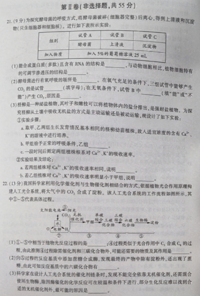 辽宁沈阳联合体2024高三期中检测考试生物试题及答案解析