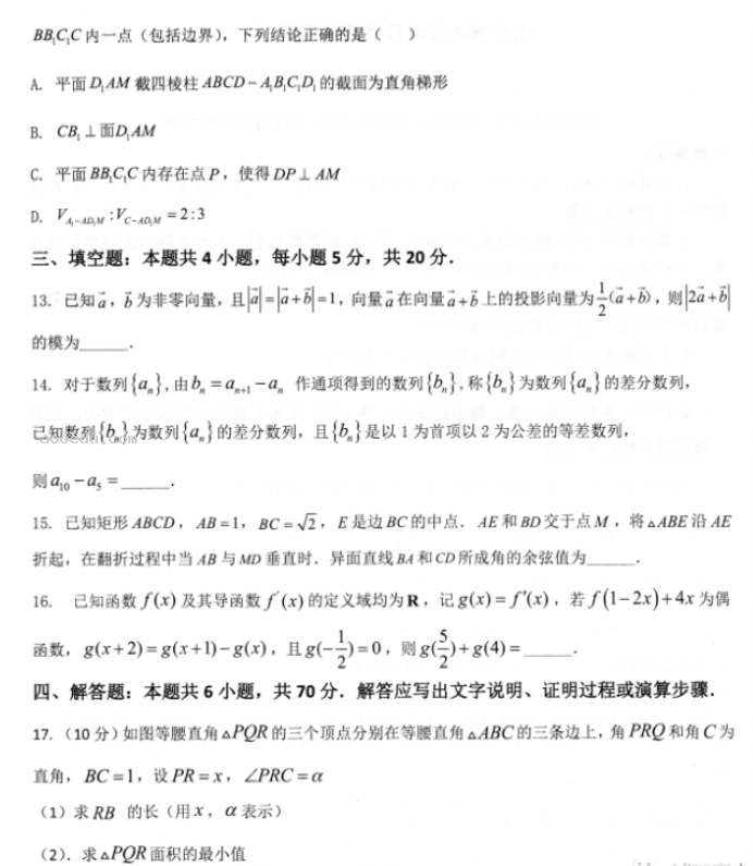 山东2024高三年级适应性联考(一)数学试题及答案解析