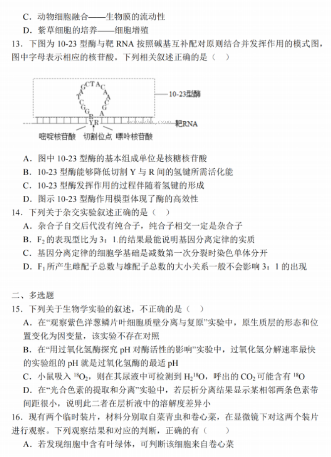 江苏南通2024高三上学期期中考前模拟生物试题及答案解析