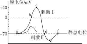 江苏南京六校联合体2024高三10月联合调研生物试题及答案