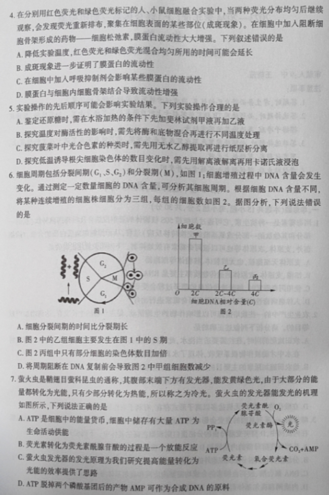 辽宁沈阳联合体2024高三期中检测考试生物试题及答案解析