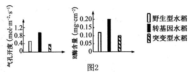 江苏南京六校联合体2024高三10月联合调研生物试题及答案