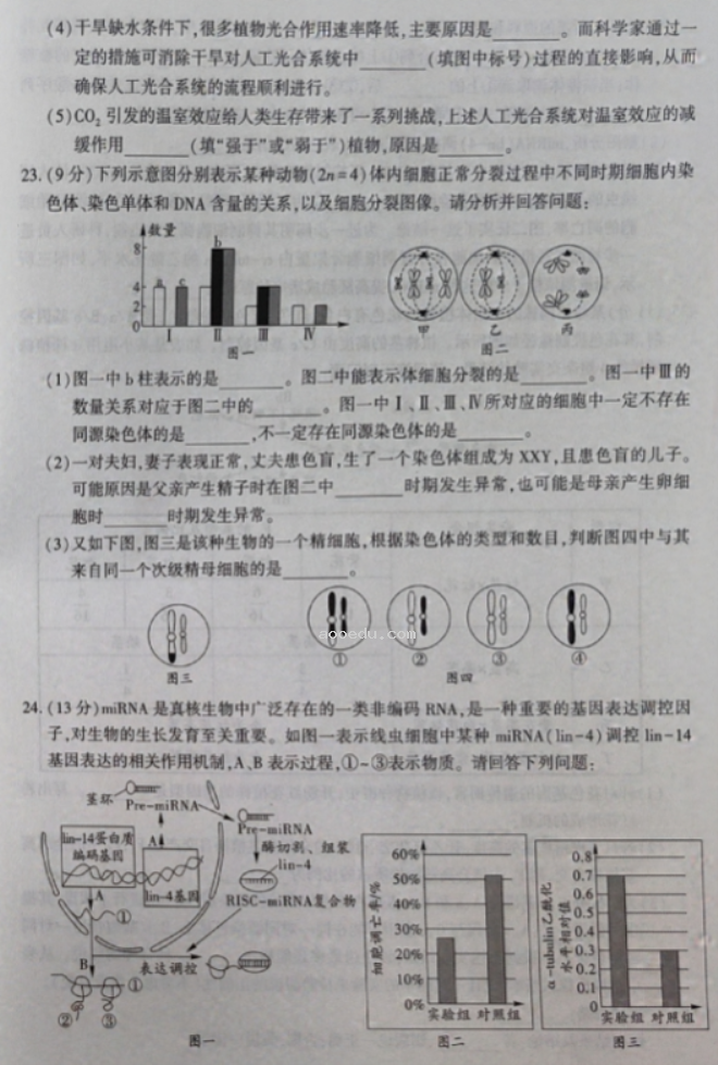 辽宁沈阳联合体2024高三期中检测考试生物试题及答案解析