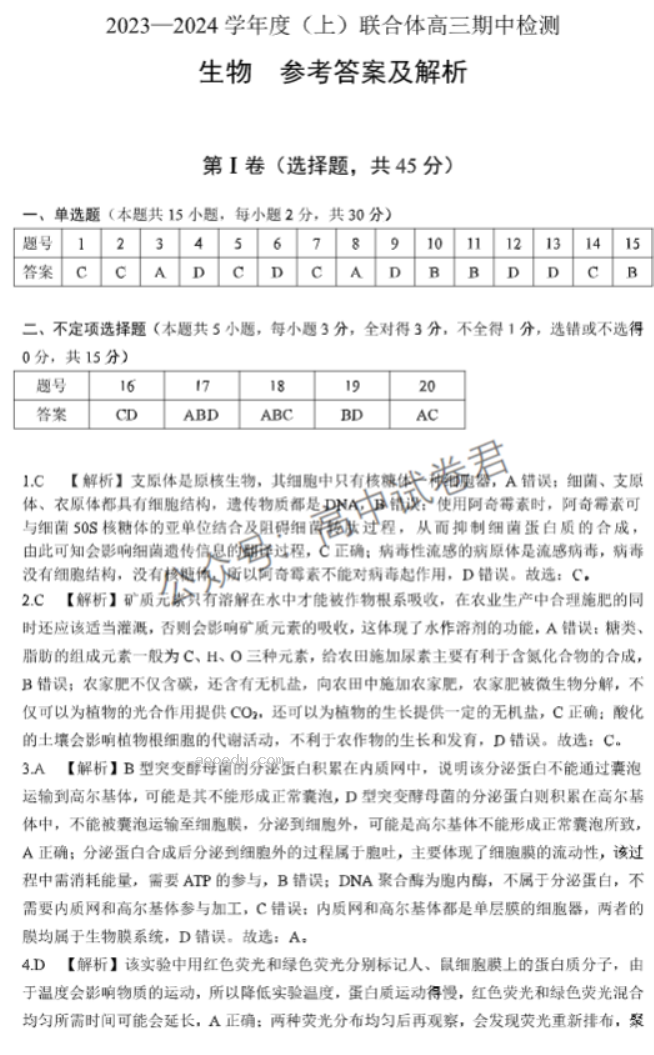 辽宁沈阳联合体2024高三期中检测考试生物试题及答案解析