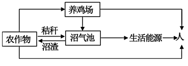 江苏南京六校联合体2024高三10月联合调研生物试题及答案