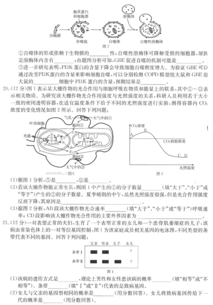 河北金太阳2024高三11月大联考生物试题及答案解析