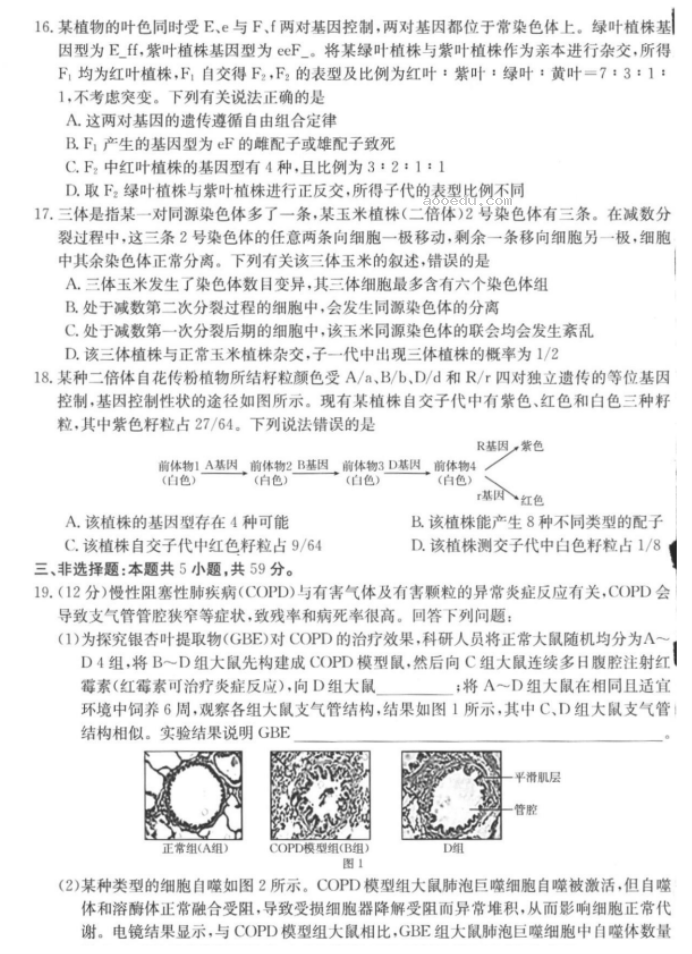 河北金太阳2024高三11月大联考生物试题及答案解析