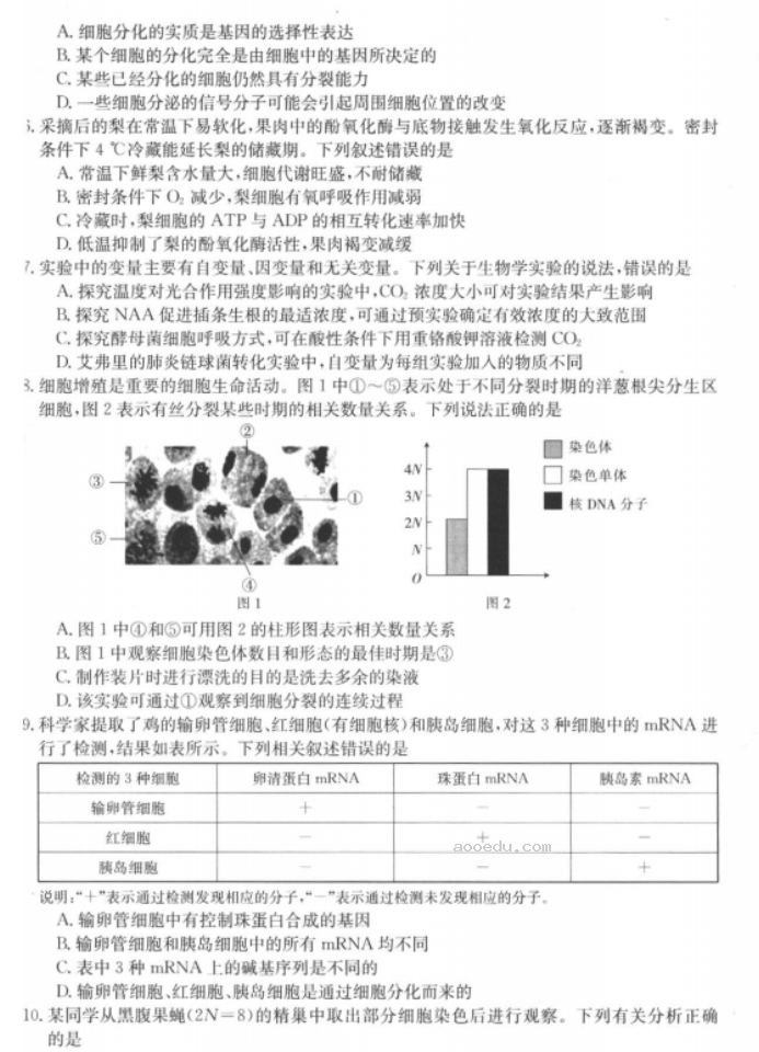 河北金太阳2024高三11月大联考生物试题及答案解析