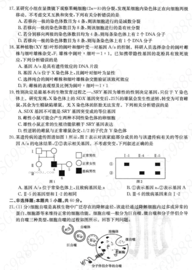 内蒙古金太阳2024高三10月联考生物试题及答案解析