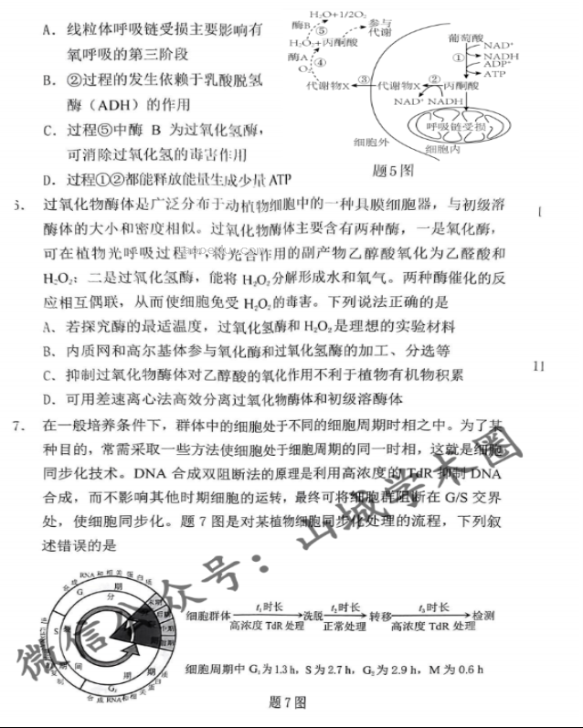 重庆2024高三11月调研测试(康德卷)生物试题及答案解析