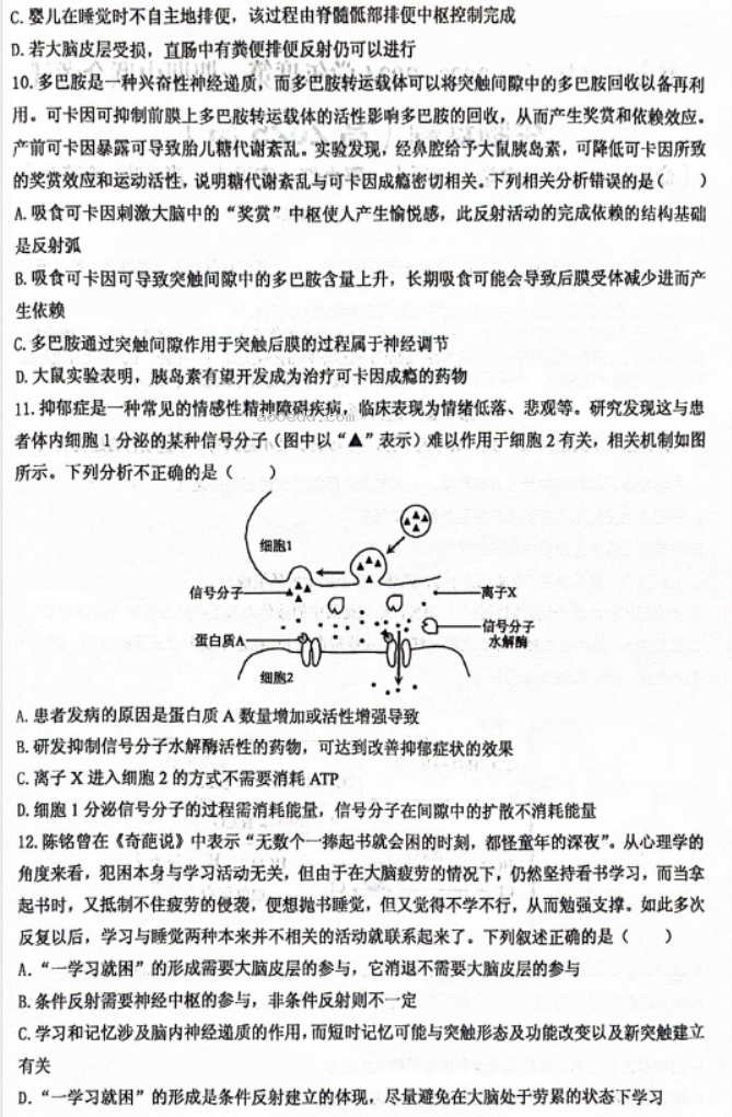 重庆名校联盟2024高二上学期期中联考生物试题及答案解析