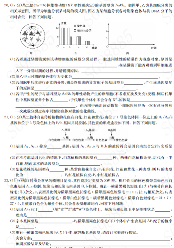 湖北九师联盟2024高三10月质量检测(X)生物试题及答案解析