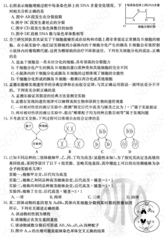 内蒙古金太阳2024高三10月联考生物试题及答案解析