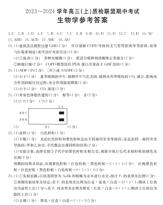 河北金太阳2024高三11月大联考生物试题及答案解析