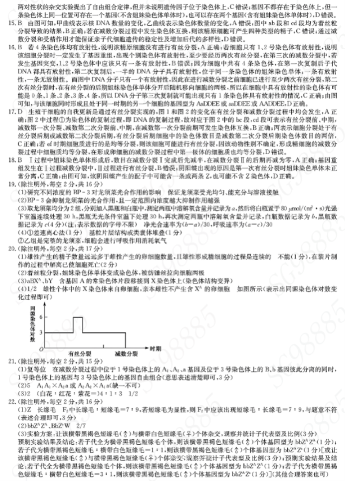 湖北九师联盟2024高三10月质量检测(X)生物试题及答案解析