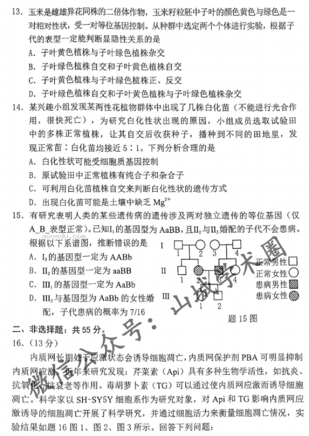 重庆2024高三11月调研测试(康德卷)生物试题及答案解析