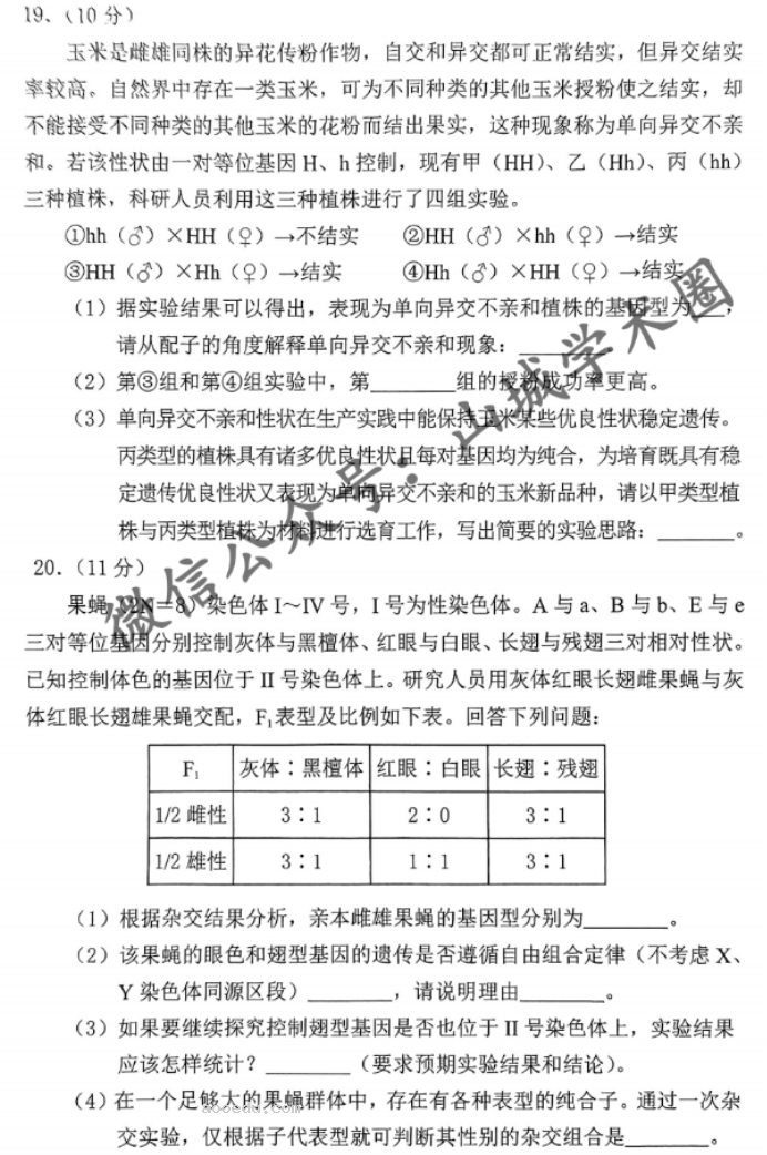 重庆2024高三11月调研测试(康德卷)生物试题及答案解析