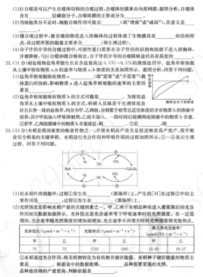 内蒙古金太阳2024高三10月联考生物试题及答案解析