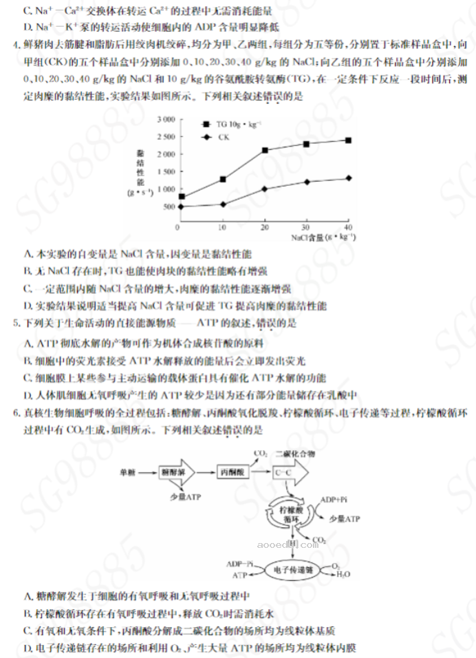 湖北九师联盟2024高三10月质量检测(X)生物试题及答案解析