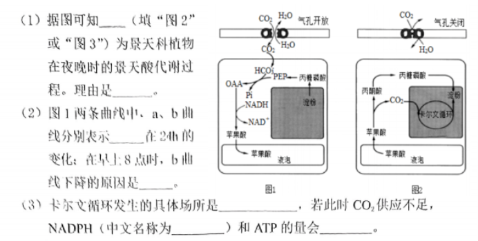 重庆2024高三11月调研测试(康德卷)生物试题及答案解析