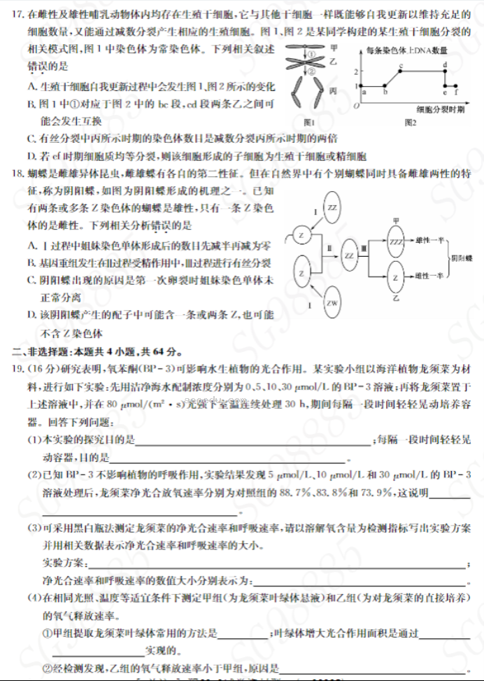 湖北九师联盟2024高三10月质量检测(X)生物试题及答案解析