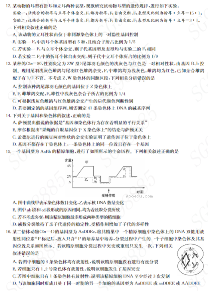 湖北九师联盟2024高三10月质量检测(X)生物试题及答案解析