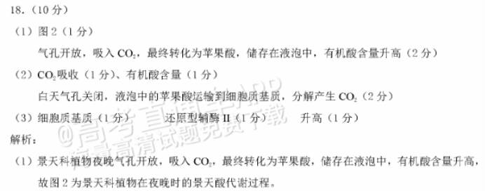 重庆2024高三11月调研测试(康德卷)生物试题及答案解析