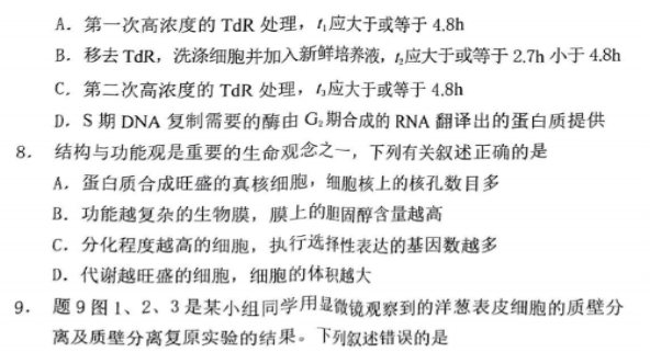 重庆2024高三11月调研测试(康德卷)生物试题及答案解析