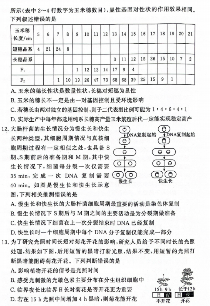 湘豫名校2024高三11月一轮复习诊断二生物试题及答案解析