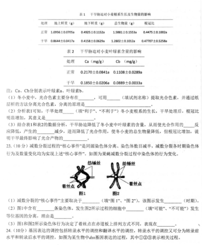 山东2024高三年级适应性联考(一)生物试题及答案解析